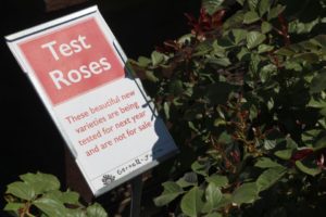 Let customers know you'll only sell what works for them (Cornell Farms)