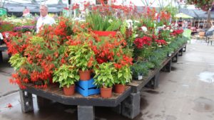 First-Ever Virtual Global Garden Retail Conference on Tap for February