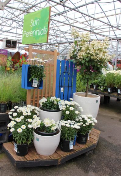 This endcap turns the crate into a shadow box display