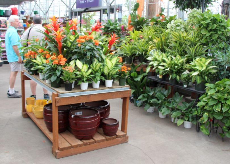 This fixture allows large-items like pots to be displayed beneath plants (Al's Garden Center)