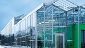 How Vineland Is Expanding Its Greenhouse Grower and Supplier Service Offerings