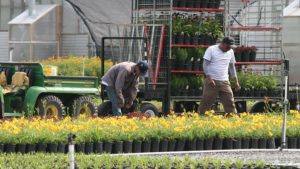 Seasonal Worker Health and Safety: Are We All Guilty of Neglect? 