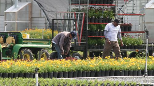 Seasonal Worker Health and Safety: Are We All Guilty of Neglect? 