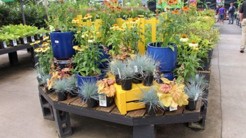 Ian Baldwin: 2017 is Off to a Strong Start For Plant Retailers