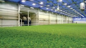Why the Potential for Controlled Environment Agriculture Continues to Grow