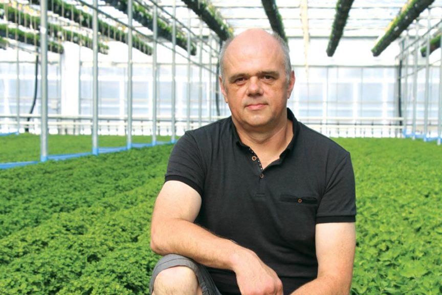 2016 Head Grower of the Year Winner: Albert Grimm, Jeffery’s Greenhouses