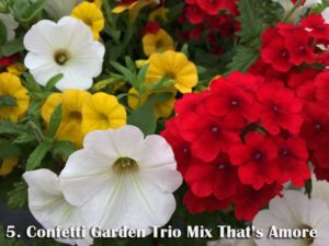 Confetti Garden Trio Mix That's Amore