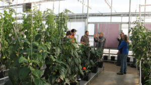 Learn Tips On Greenhouse Management During Growers Supply’s Fall Workshops