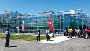 Take A Virtual Tour Of Canada’s Vineland Greenhouse Technology Centre