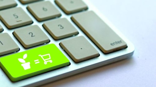 How Bad Plant Pricing Can Hurt A Good Retailer