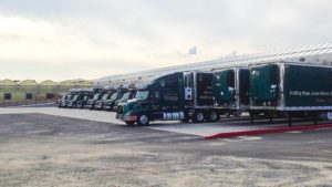 How the Baltimore Bridge Collapse is Affecting Spring Shipping for Plant Growers