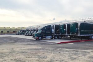 10. How the Baltimore Bridge Collapse is Affecting Spring Shipping for Plant Growers