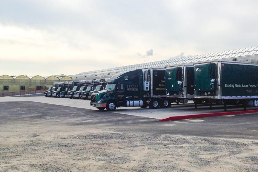 10. How the Baltimore Bridge Collapse is Affecting Spring Shipping for Plant Growers