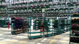 6 Ways Greenhouse Suppliers Are Partnering With Producers