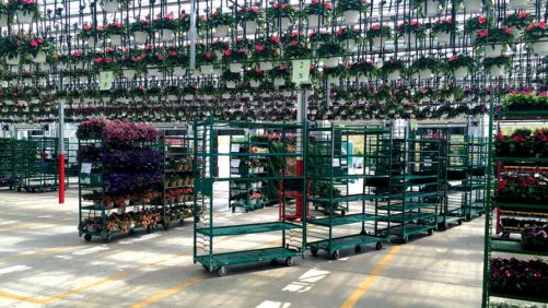 6 Ways Greenhouse Suppliers Are Partnering With Producers