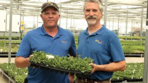 AmericanHort Names New Board Members and Officers for 2017