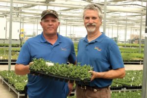 2016 Operation of the Year Winner: North Creek Nurseries