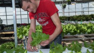 Ohio State University Offering New Greenhouse Engineering Technology Program