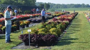 Punch Your Ticket to the Penn State Flower Trial Field Day