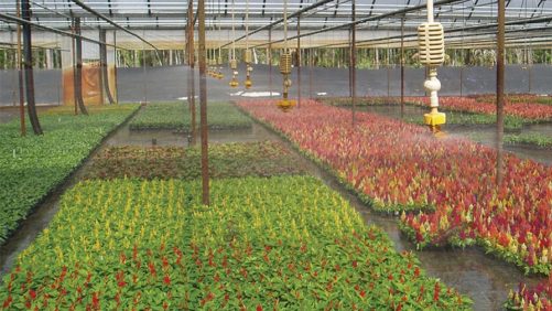 Grow Irrigation Adds Greenhouse Market to Its Online Product Sales
