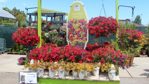 Proven Winners Makes Improvements to Its Retailer Certified Training Program for 2017