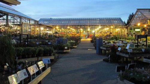 Fire Damages Swanson Nursery