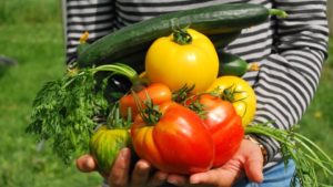 Gardening Is Enjoying A Sharp Increase, National Garden Survey Shows