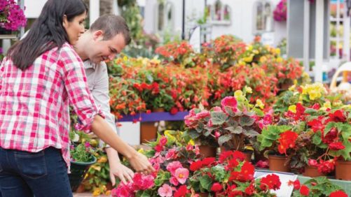 Make Plans to Attend the NICH Annual Conference in Atlanta in June