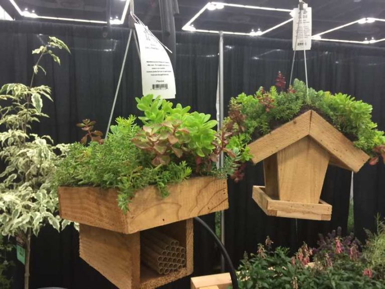 Allied Award Winner: Eco Bee Living Roof