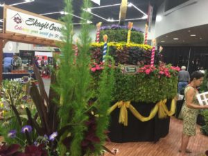 Green Goods Award Winner: Elegant Feather Joe Pye Weed