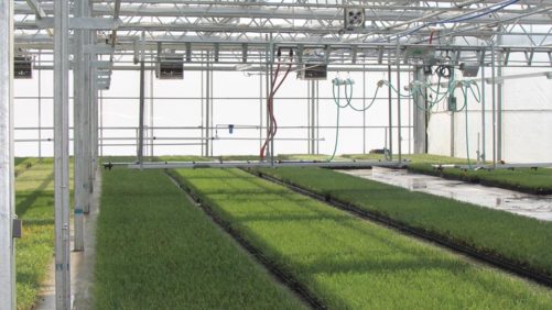 End-to-End Supply Chain Risk Management and Strategic Planning Tips