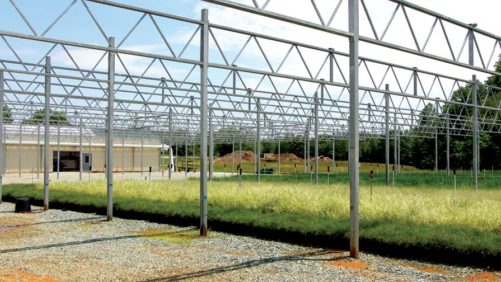 How Hoffman Nursery Invests In Technology In Response To Increased Demand