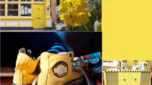 How Even An Overworked Plant Retailer Can Predict Consumer Trends