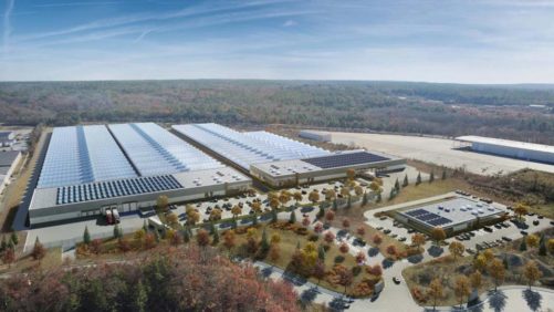 Large Cannabis Greenhouse On The Horizon In Massachusetts