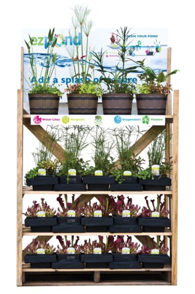 Aquatic Planter Display From Netherland Bulb Co. 