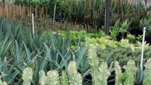 What To See At The IPPS – Western Region Annual Meeting