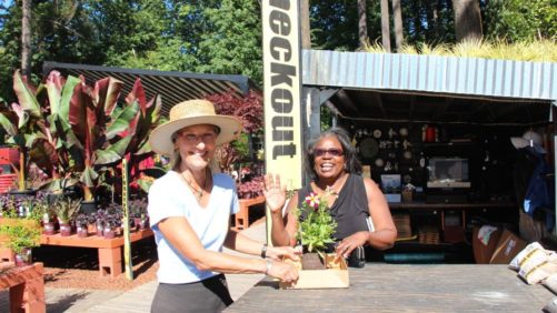 How To Do Your Own Consumer Research