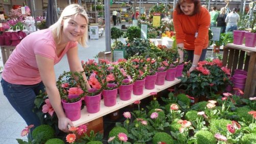 How To Make Your Plant Yard Easier To Shop