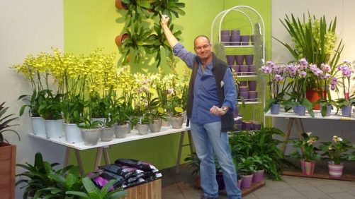 A Visual Guide To Garden Retail Merchandising