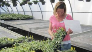 AmericanHort Provides Latest Updates on Paycheck Protection Program