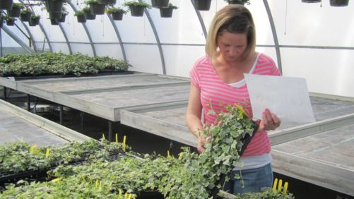 New Salary Data Highlights the Promise of Horticulture Careers