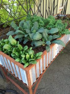 Raised Garden Bed From Garden Gallery Works