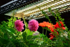 Sunlight Supply Indoor Gardening Line (Seen At Homestead Gardens)
