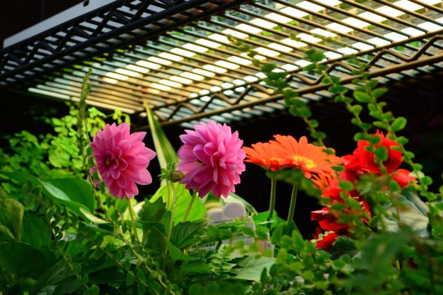 Sunlight Supply Indoor Gardening Line (Seen At Homestead Gardens)