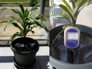 Tree Diaper With Its Meter (Zynnovation)