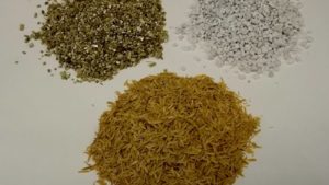 Online Learning Center Features Advice On Growing Media