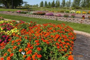 2016 North Dakota State University Field Trials Results