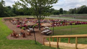 Meet All-America Selections’ New Trial Judges