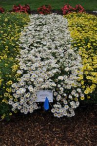 2016 Colorado State University Field Trials 