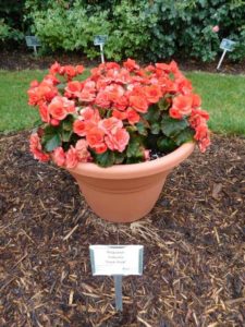 2016 Michigan State University Field Trials